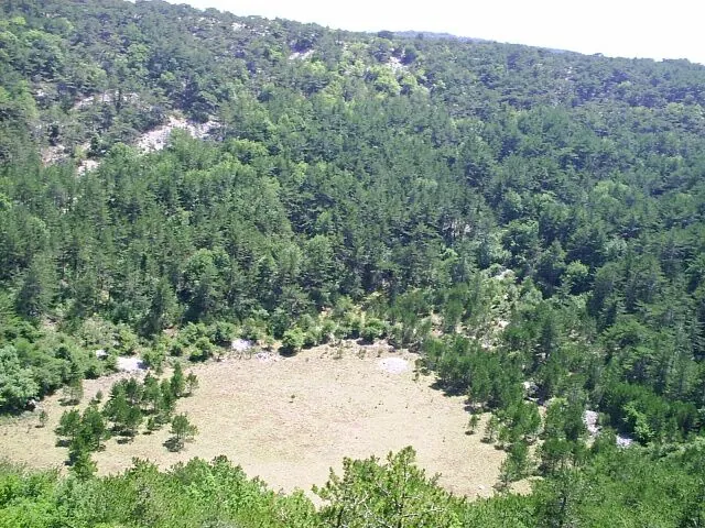 Duboki dolac sa šumovitim padinama i otvorenim dnom